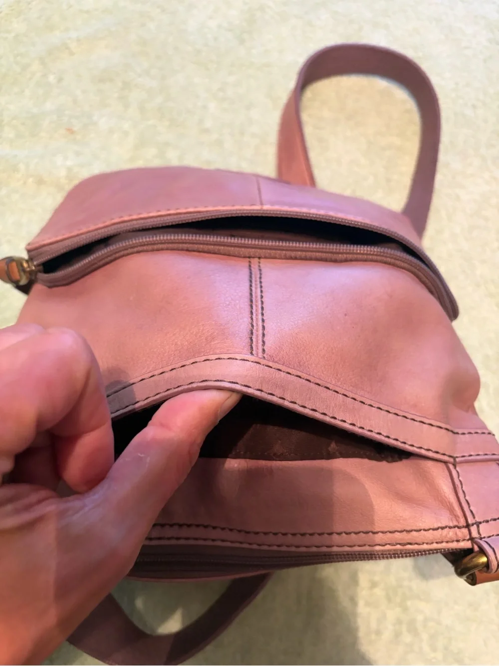 Fossil beautiful genuine